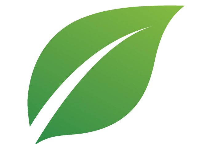 Entreprise formatrice